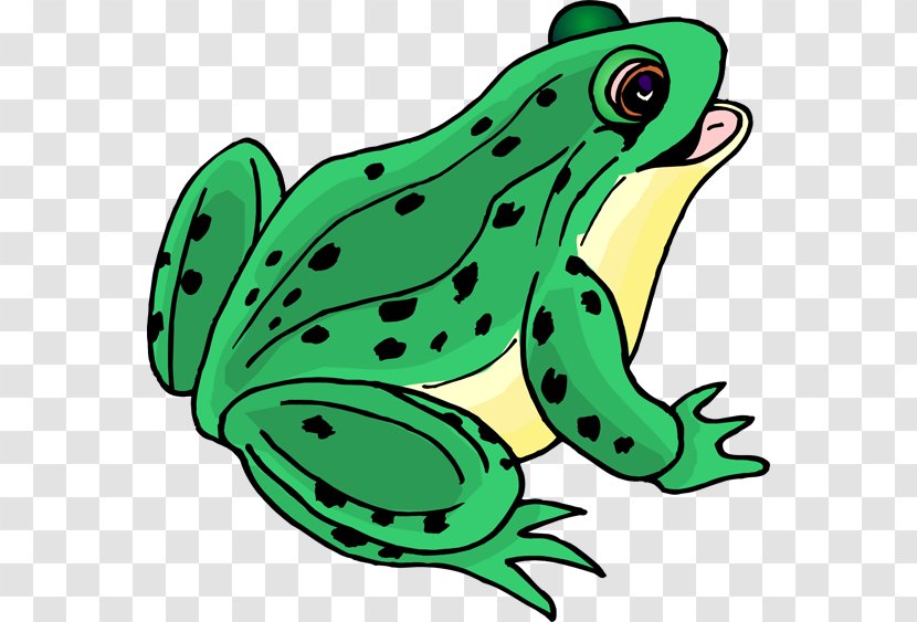 Frog Free Content Drawing Clip Art - Stockxchng - Muskrat Cliparts Transparent PNG