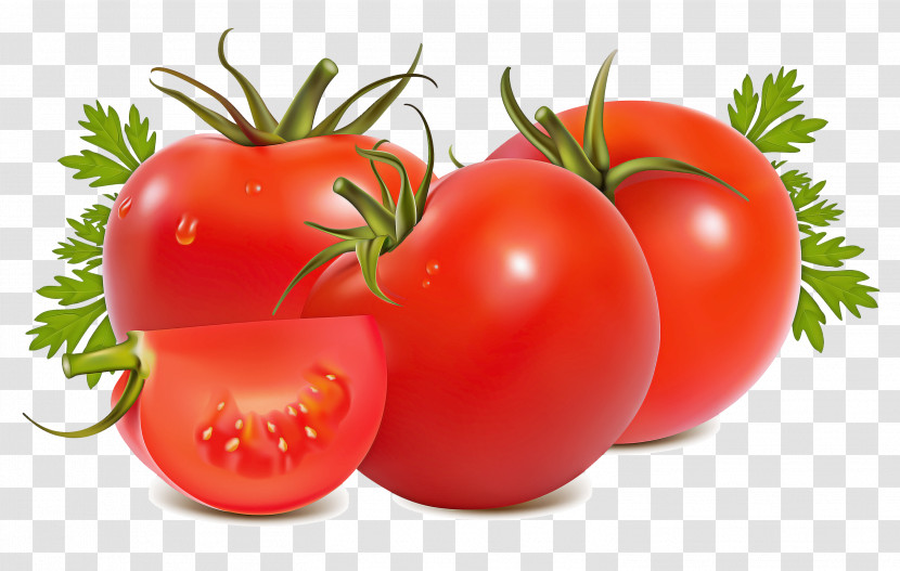 Tomato Transparent PNG