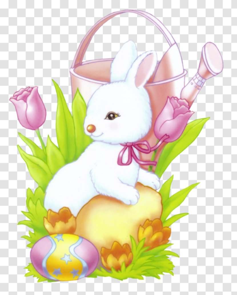 Hare Easter Bunny Domestic Rabbit European Transparent PNG