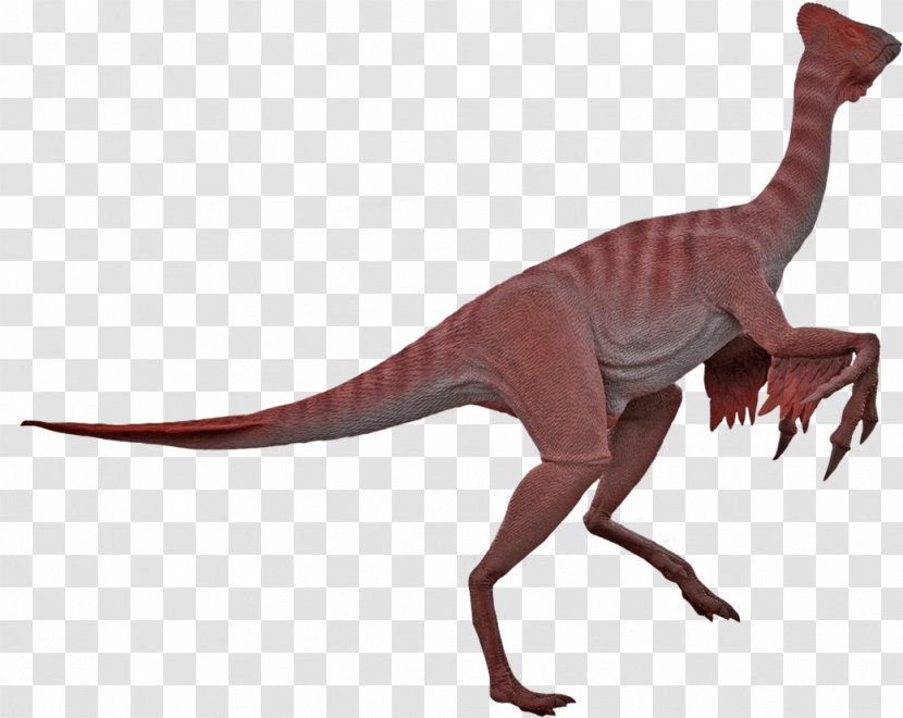 Velociraptor Moab Giants Chirostenotes Oviraptor - Sellosaurus - Dinosaur Transparent PNG