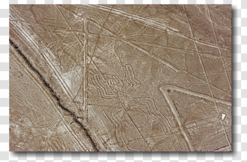 Nazca Lines Stock Photography Royalty-free - Royalty Payment - Pelicano Transparent PNG