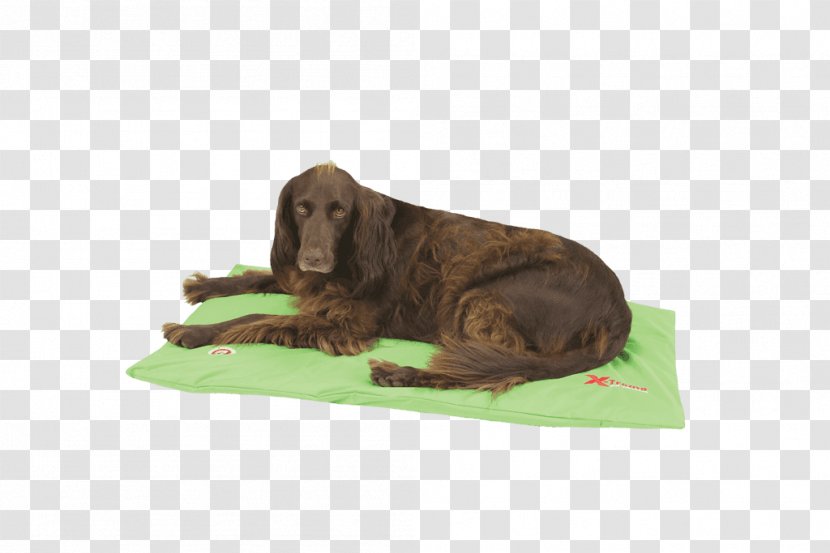 Dog Breed Duvet Green Bed - Applegreen Transparent PNG