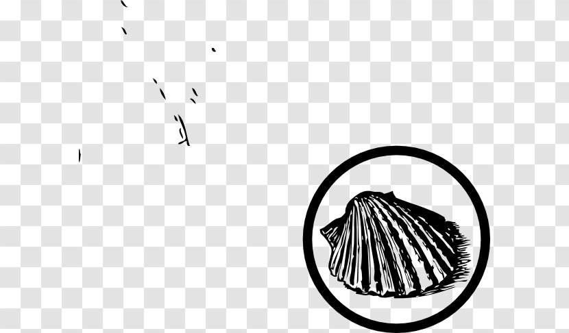 Seashell Beach Art Clip - Coast Transparent PNG