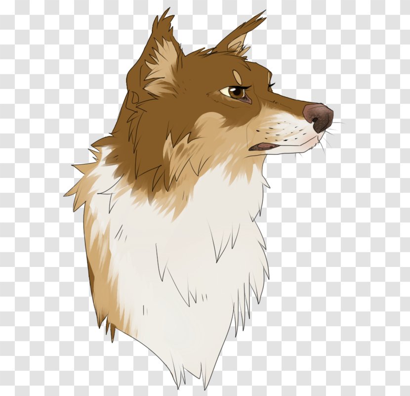 Dog Breed Red Fox Rough Collie Whiskers Snout - Drawing - Ming Piece Simple Shading Transparent PNG
