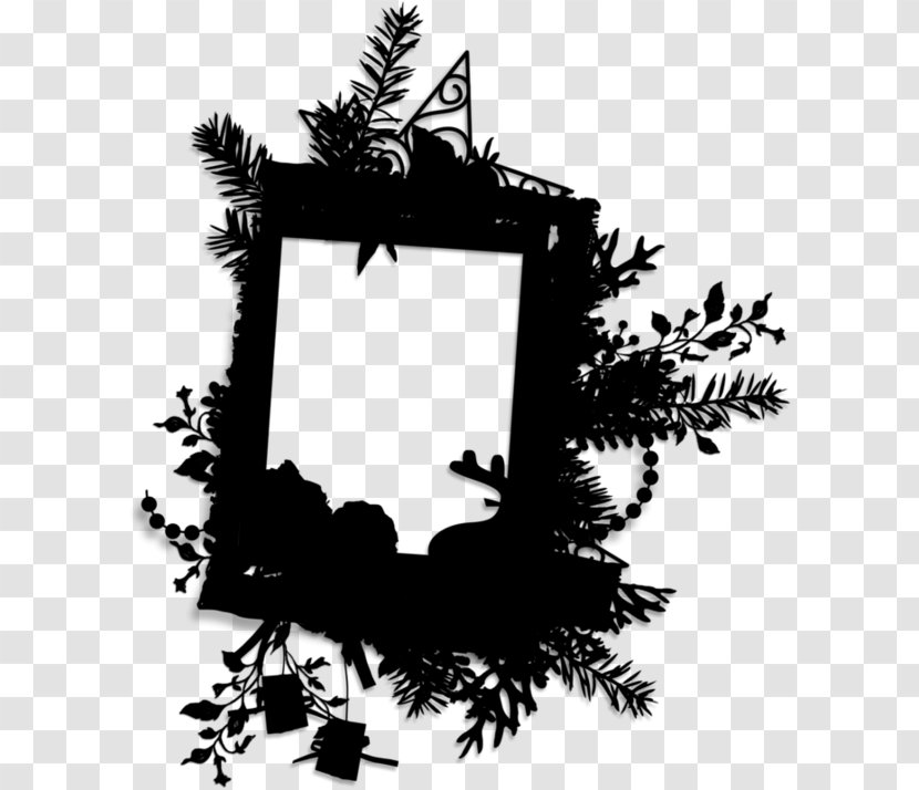 Black And White Frame - Picture Frames - Christmas Decoration Conifer Transparent PNG