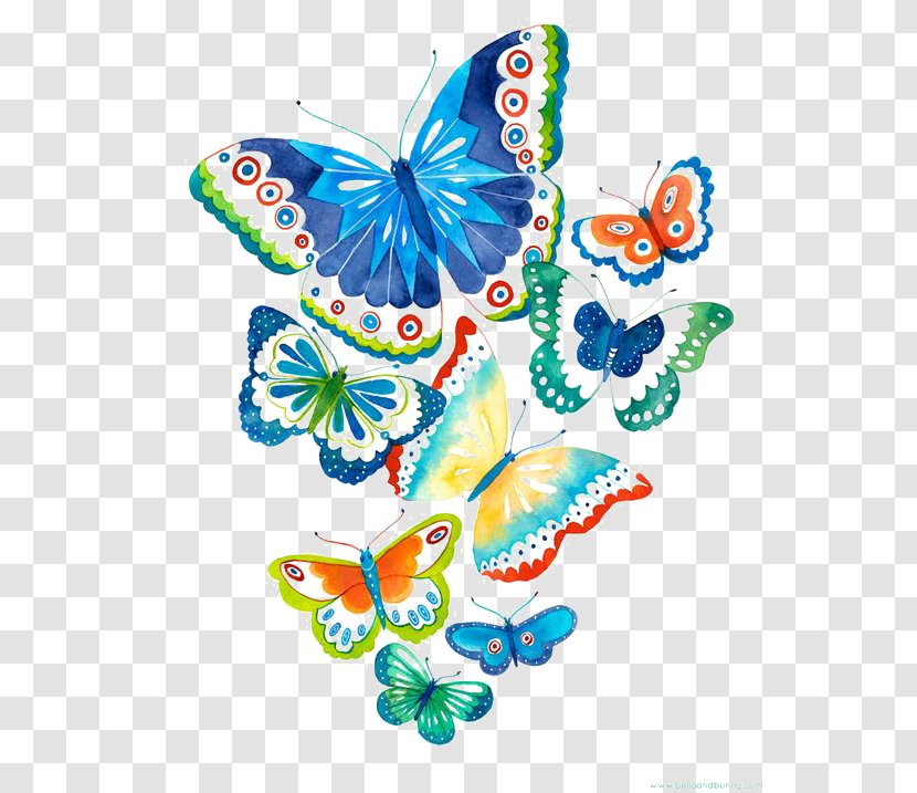 Butterfly Drawing Art Clip - Invertebrate - Hand-painted Watercolor Transparent PNG