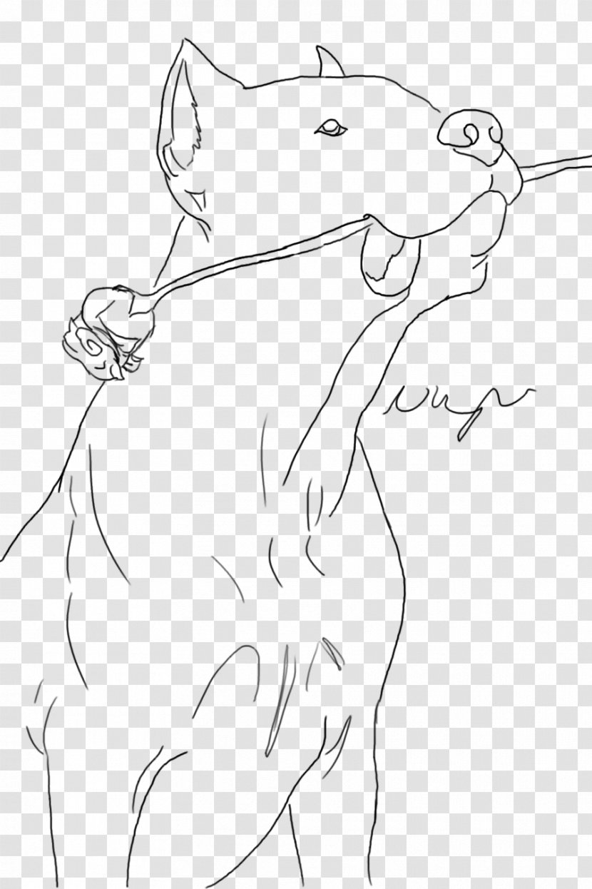Canidae Cat Drawing Sketch - Flower - Dogo Argentino Transparent PNG