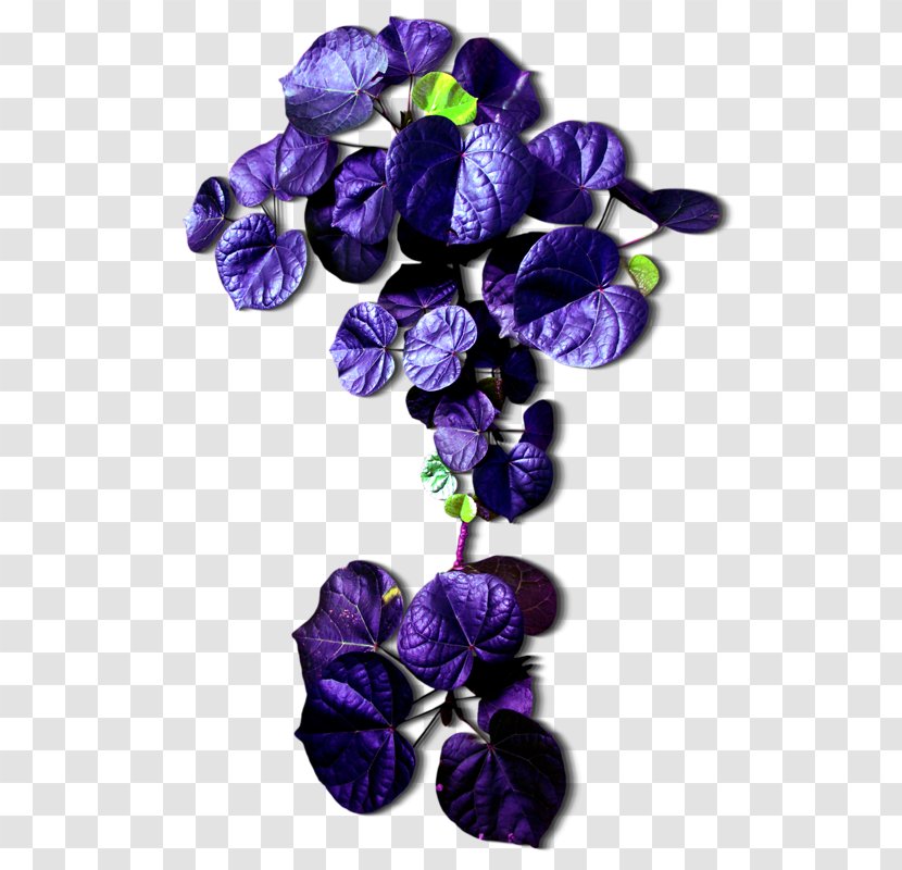 Leaf Cut Flowers Purple Transparent PNG