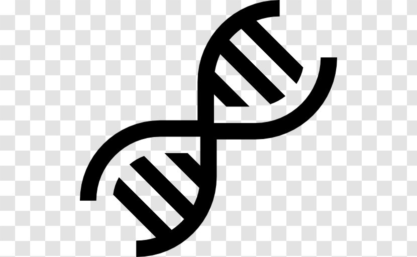 DNA Medicine Science Nucleic Acid Double Helix - Brand - Dna Structure Human Transparent PNG