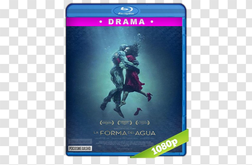 The Fall Film Blu-ray Disc 720p 1080p - Highdefinition Video - Shape Of Water Transparent PNG