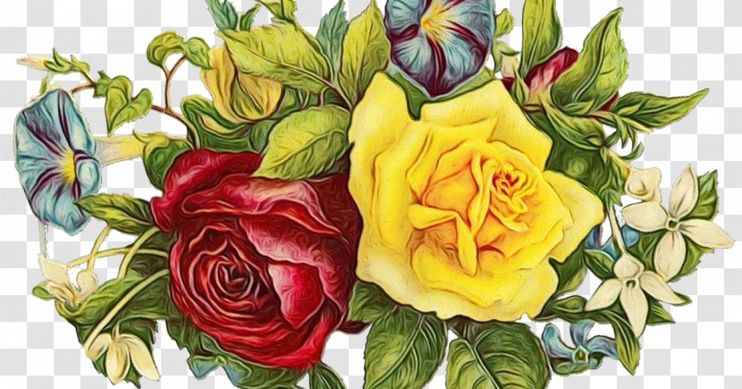Garden Roses - Floribunda Rose Family Transparent PNG