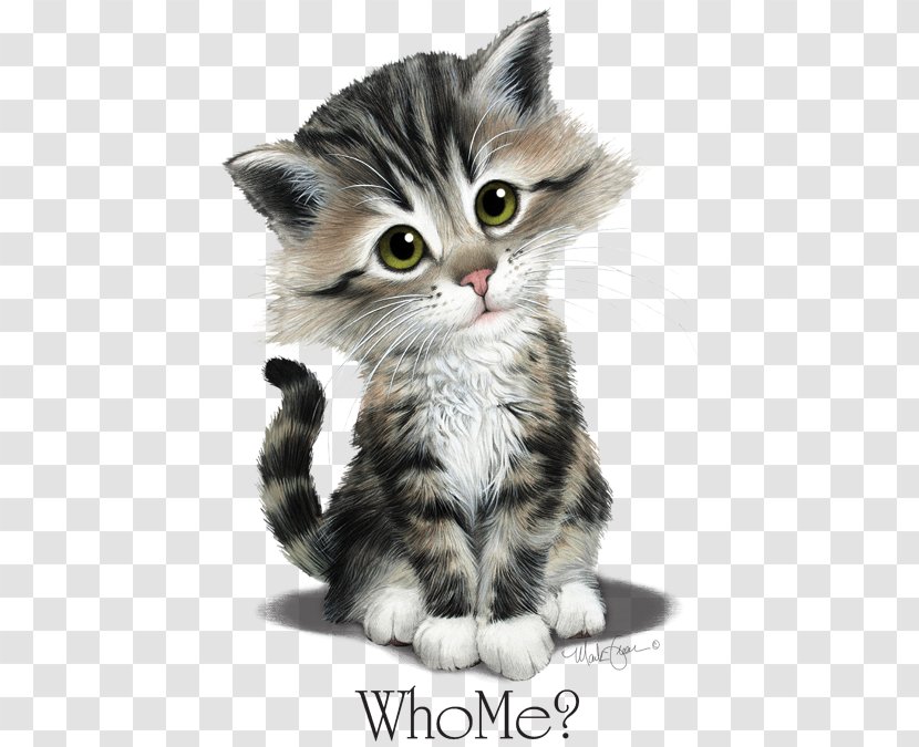 Kitten American Shorthair European Wirehair Munchkin Cat - Mammal - Heat Transfers Transparent PNG