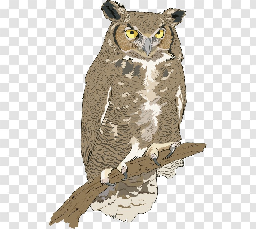 Great Horned Owl Eurasian Eagle-owl Snowy Bird - Hawk - Artist Transparent PNG