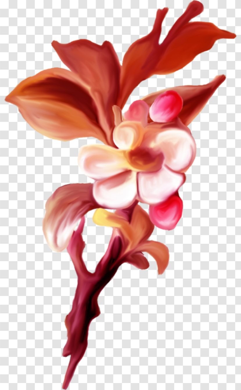 Flower - Pink - Plant Transparent PNG