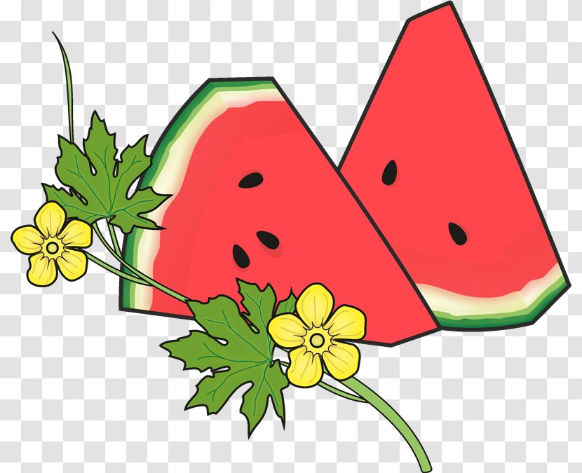 Drawing Watermelon Gospel Coloring Book - Melon - Bi Transparent PNG