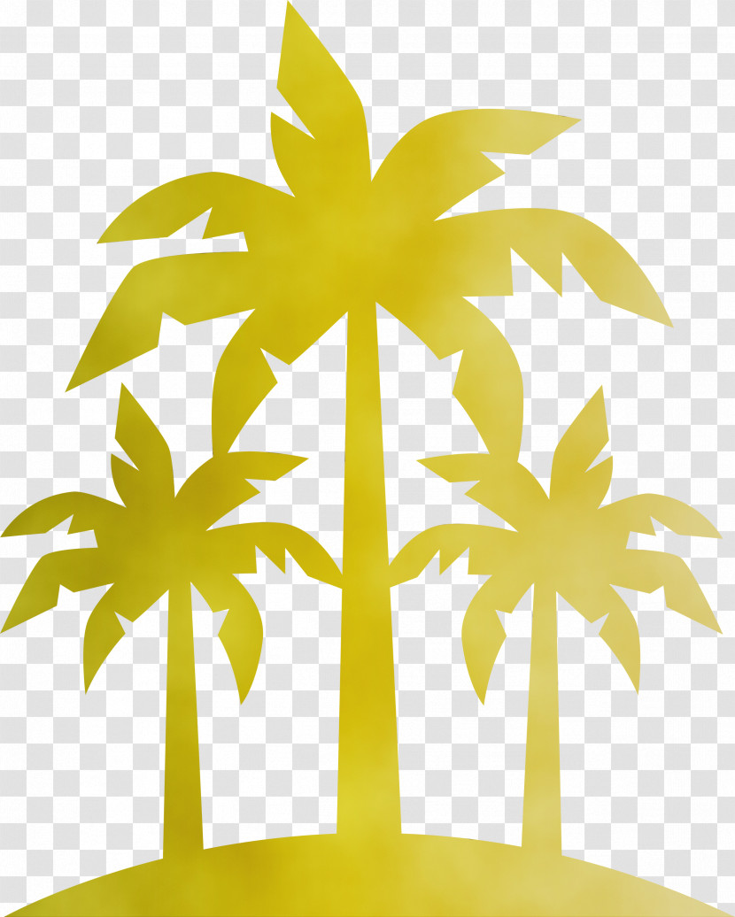 Palm Trees Transparent PNG