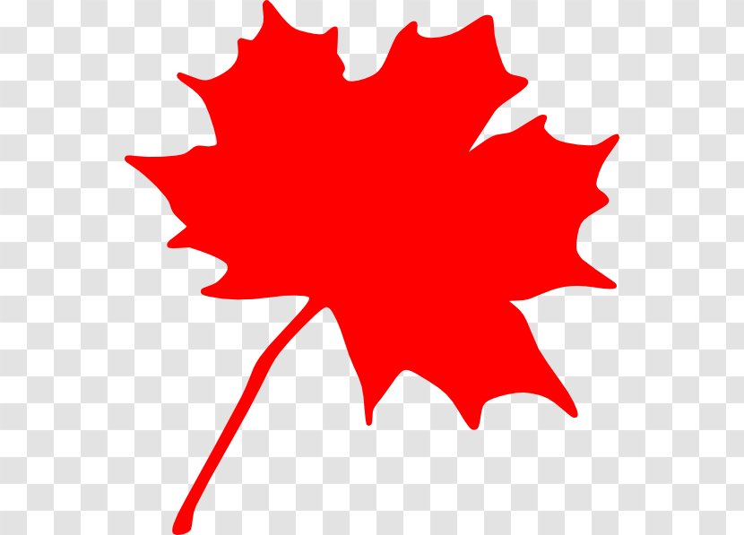 Canada Sugar Maple Leaf Clip Art - Woody Plant - Silhouette Transparent PNG