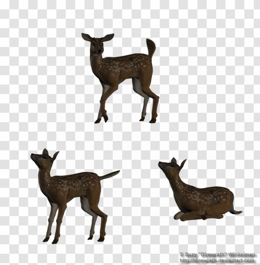 White-tailed Deer Silhouette - Fawn Transparent PNG