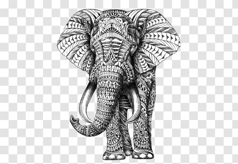 Drawing African Elephant Art - Asian Transparent PNG