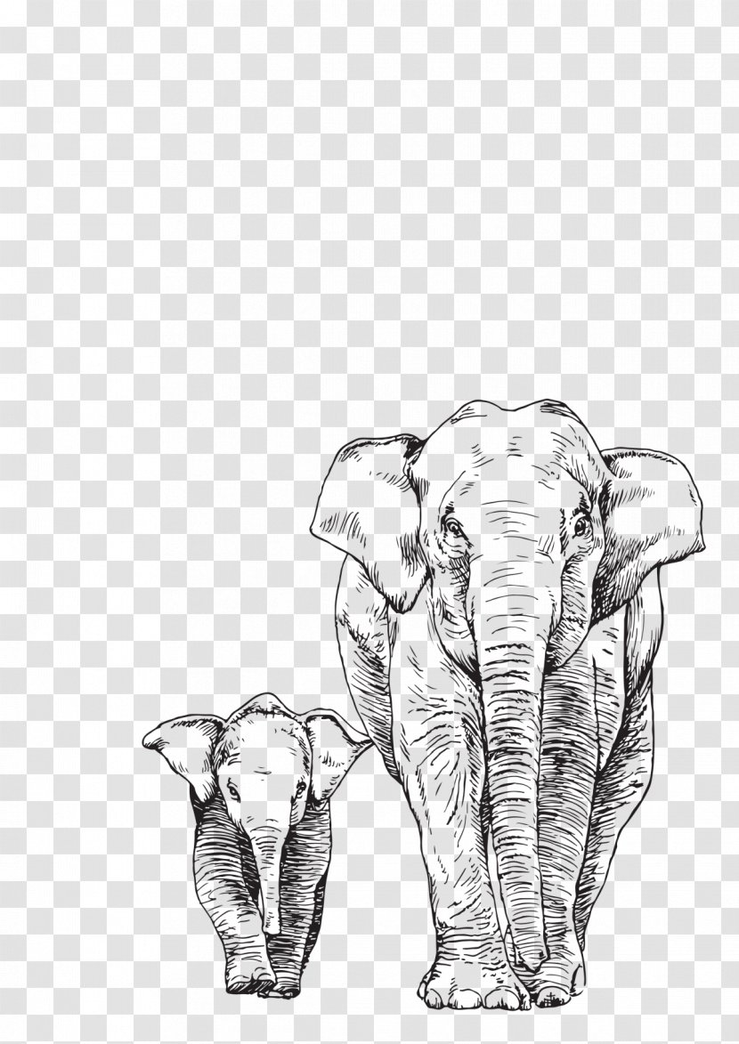 Asian Elephant Drawing African - Mammal Transparent PNG