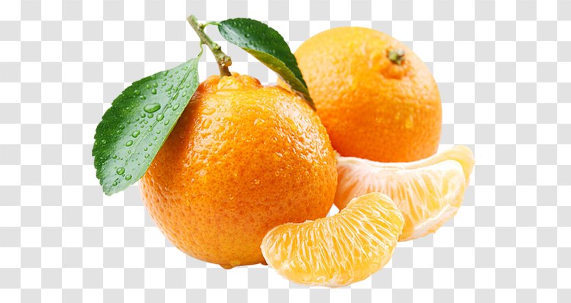 Mandarin Orange Tangerine Marmalade Food - Fruit Transparent PNG