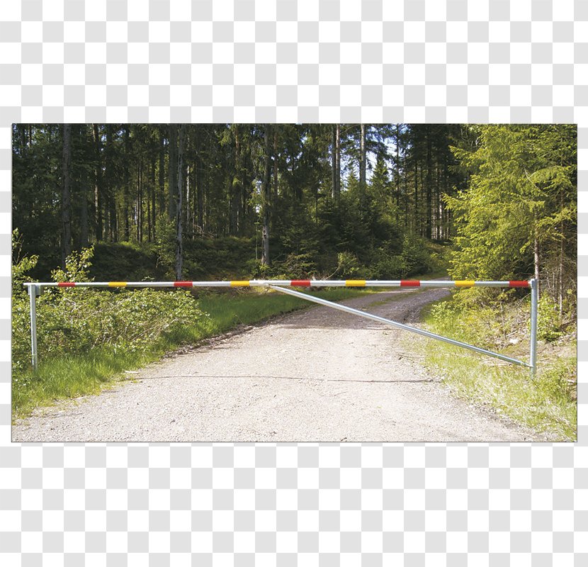 Trafikhinder Road Speed Bump Asphalt Plastic - Forest - Dirt Roads Transparent PNG