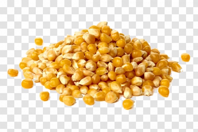 Grits Animal Feed Maize Cornmeal Sweet Corn - Mixture - Grains Transparent PNG