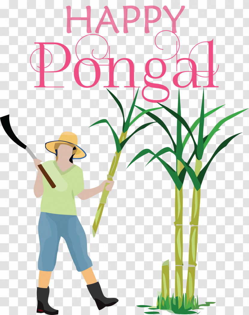 Pongal Happy Pongal Transparent PNG