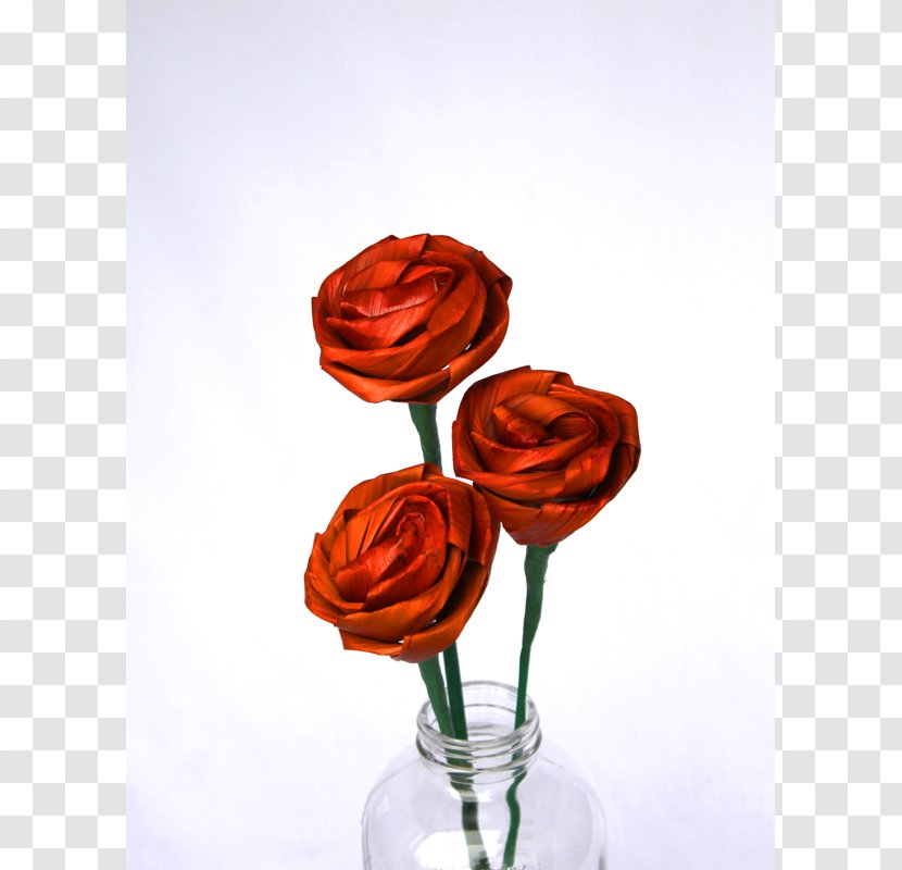 Garden Roses Floral Design Cut Flowers Flower Bouquet - Petal Transparent PNG
