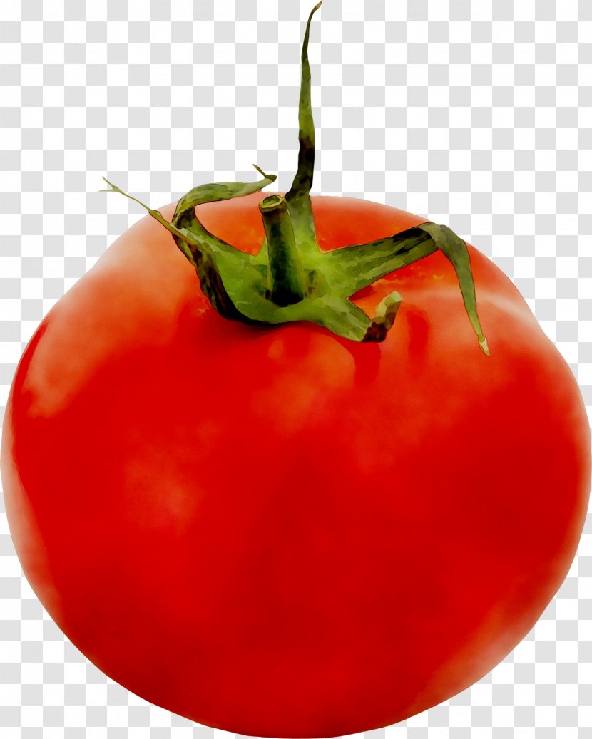 Plum Tomato Bush Diet Food - Cherry Tomatoes Transparent PNG