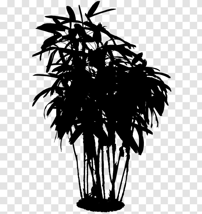 Asian Palmyra Palm Trees Silhouette Flower Branching - Tree Transparent PNG