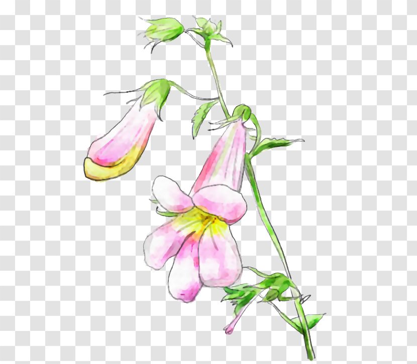 Desktop Wallpaper Floral Design Drawing - Watercolor Painting - Flower Transparent PNG