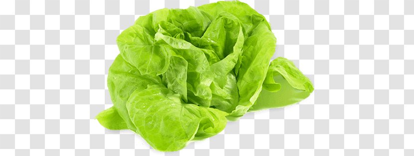 Leaf Lettuce Vegetable Iceberg Variety Food - Romaine Transparent PNG