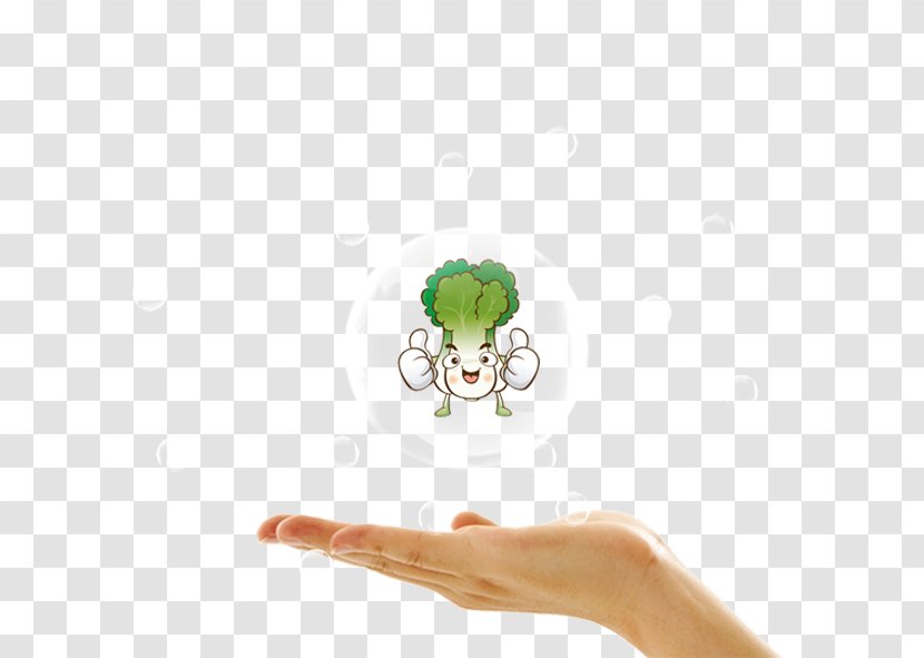 Hand Finger Arm Foot - Wrist - Satisfy Bubble Cabbage Transparent PNG