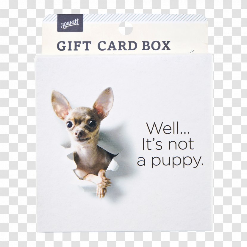 Chihuahua Royalty-free Stock Photography - Gift Items Transparent PNG