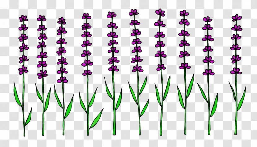 Lavender Transparent PNG