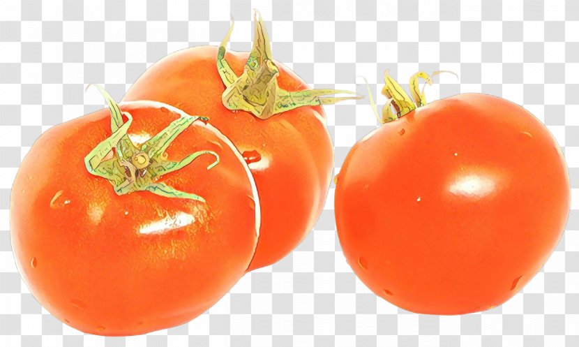 Tomato - Vegetable - Plant Transparent PNG
