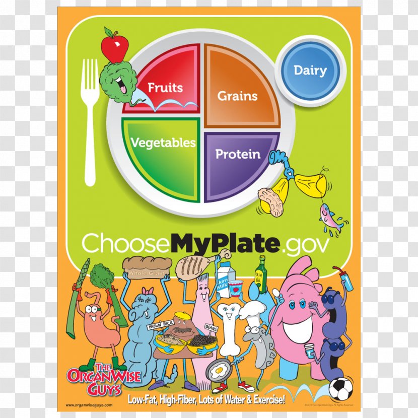 MyPlate Nutrition Food Pyramid Group MyPyramid - Whole Grain - Plating Crystal Poster Transparent PNG
