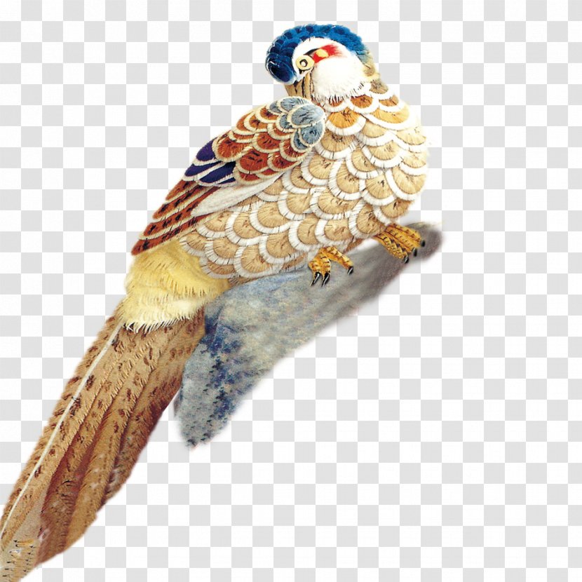 Bird Mandarin Duck - Of Prey Transparent PNG