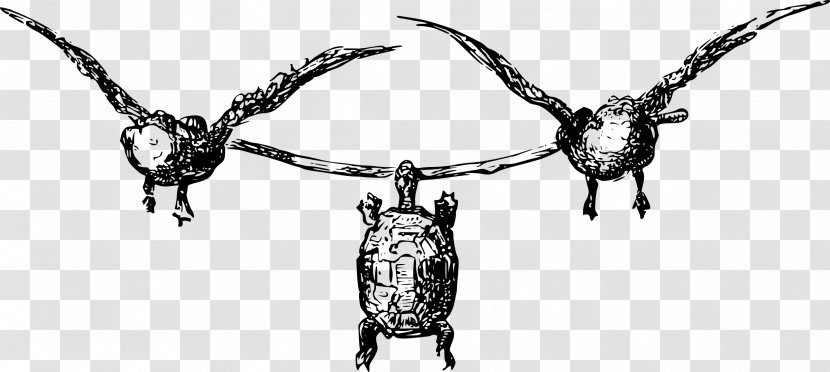 Turtle Aesop's Fables Tortoise Clip Art - Horn Transparent PNG