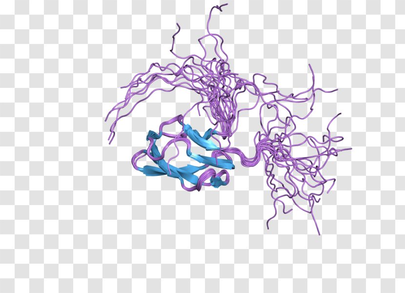 ACACB Acetyl-CoA Carboxylase Carnitine Palmitoyltransferase I Carboxylation Protein - Cartoon - Malonylcoa Transparent PNG