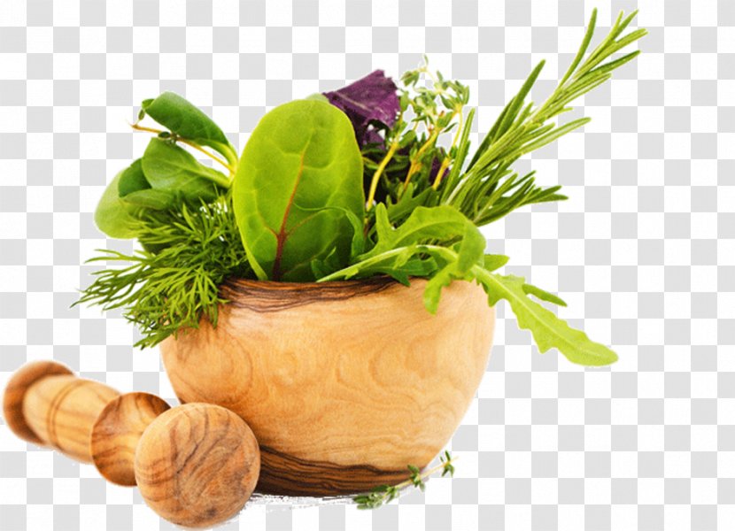 Herb Food Health Cosmetics Flavor Transparent PNG