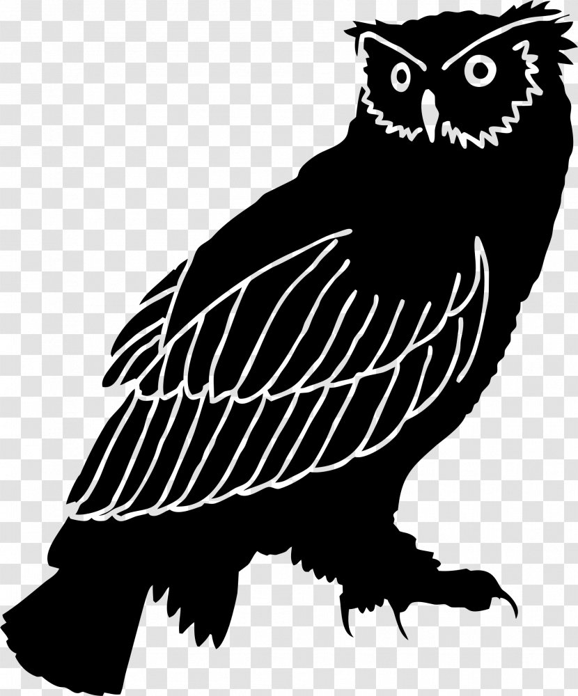 Owl Silhouette Clip Art - Owls Transparent PNG