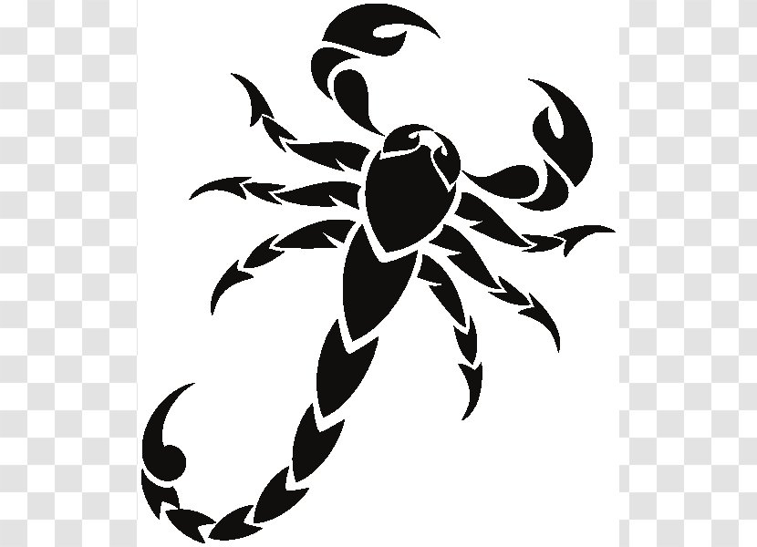 Scorpion Drawing Clip Art - Pollinator - Scorpio Vector Transparent PNG