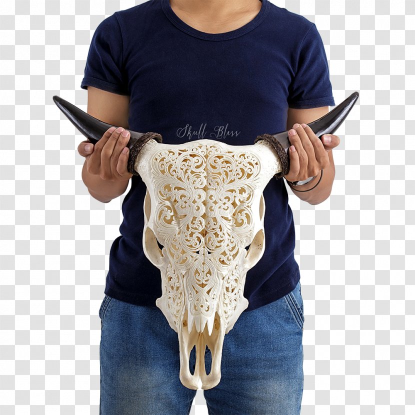 Cattle XL Horns Skull Milk - Office Desk Chairs - Buffalo Transparent PNG