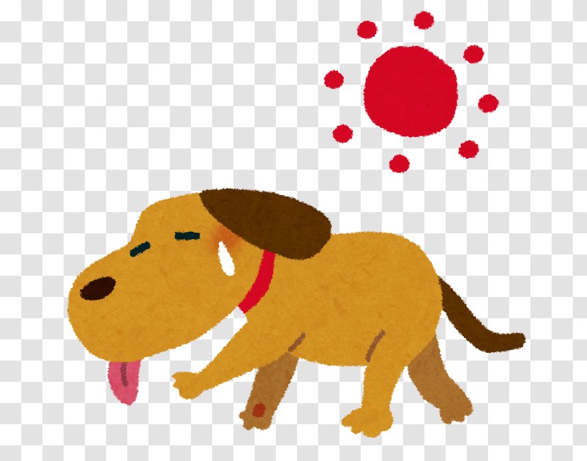 Dog Hyperthermia Cat Disease Veterinarian - Like Mammal Transparent PNG