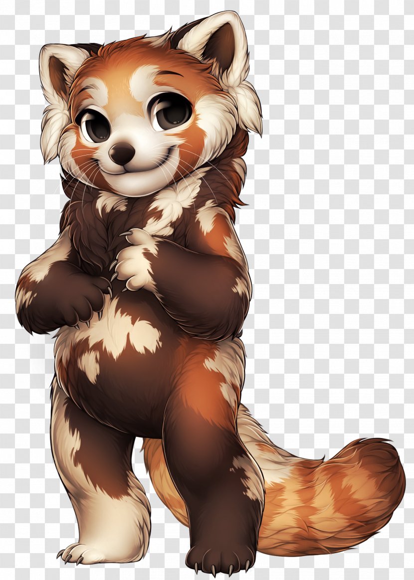 Dog Red Panda Raccoon Giant Bear - Species Transparent PNG
