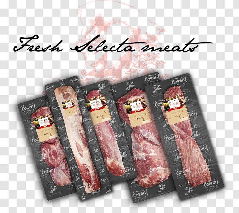 Meat Domestic Pig Ham Pork Bacon Transparent PNG