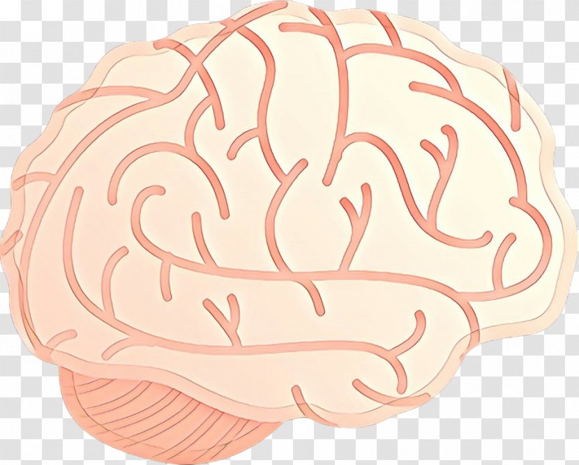 Brain - Pink - Dish Food Transparent PNG