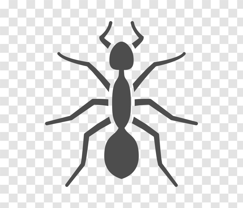 Ant Pest Control Cockroach Exterminator - Cleggs Termite Transparent PNG